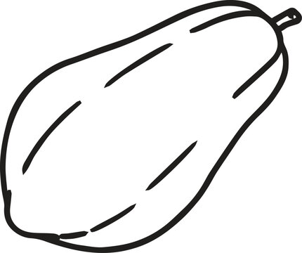recommend clip art: Papaya fruit outline coloring book page and digital line art.