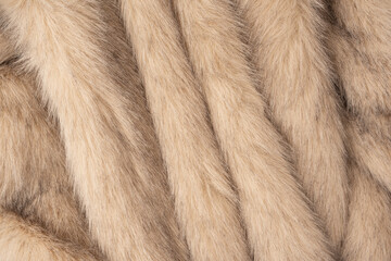 Texture of faux fur as a background, top view.