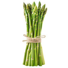Fresh Green Asparagus Bundle: A Vibrant Spring Vegetable