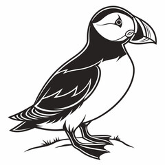 Fototapeta premium Puffin vector silhouette black design white background
