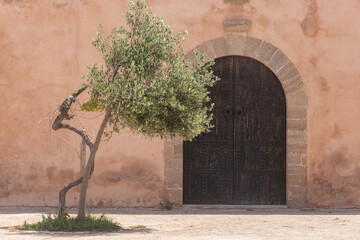 Close up detail of palm leaves and ancient window on the facade of an old medieval building. 
