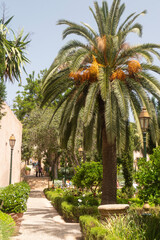 Fototapeta premium The Andalucian style Gardens inside the Oudayas Kasbah in the heart of Rabat.
