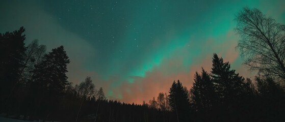 Naklejka premium Vibrant northern lights illuminate a tranquil forest at night