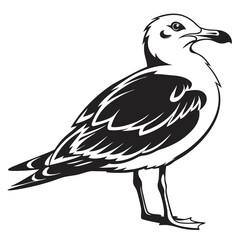 Obraz premium Seagull vector silhouette black design white background