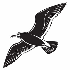Seagull vector silhouette black design white background