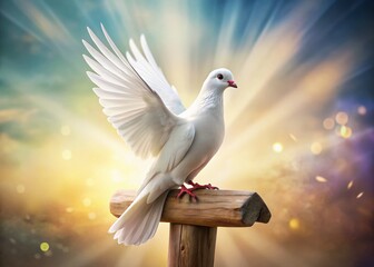 Serene White Dove on Christian Cross - Long Exposure Stock Photo