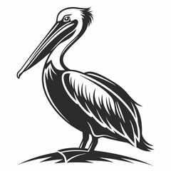 Pelican vector silhouette black design white background