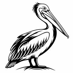 Pelican vector silhouette black design white background