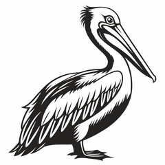Pelican vector silhouette black design white background