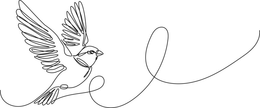 continuous single line drawing of bird flying, line art vector illustration