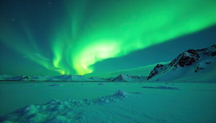 Naklejka premium Glowing green northern lights above icy tundra, winter wonderland, natural phenomenon