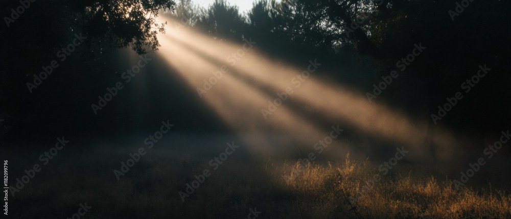 Aufkleber mysterious beams of light cutting through dense fog in a serene forest setting