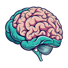 Human Brain Vector Illustration