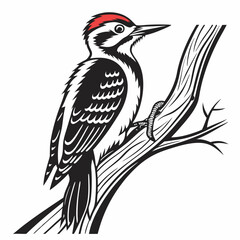 Woodpecker vector silhouette black design white background