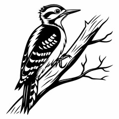 Woodpecker vector silhouette black design white background