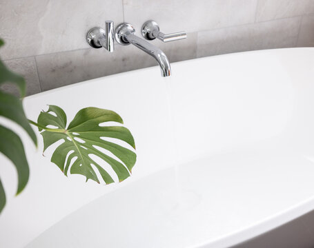 Detail of a modern spa bath tub with plants