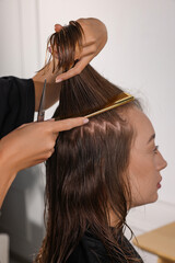 Naklejka premium Hair cutting. Professional hairdresser working with client in salon, closeup