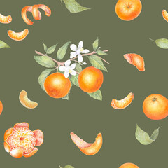 Peeled mandarin watercolor. Set of mandarin fruit design elements. Ripe orange watercolor. Orange fruit vitamin. Food illustration , pattern