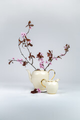 Still life with a pink blossoming branch in an elegant porcelain teapot with gold edging on a white background