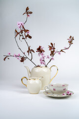 Still life with a beautiful fine porcelain teacup, tea accessories and a pink blossoming branch in an elegant porcelain teapot on a white background