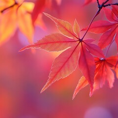 Close-up of vibrant red maple leaves against a soft, colorful background, showcasing autumn beauty.