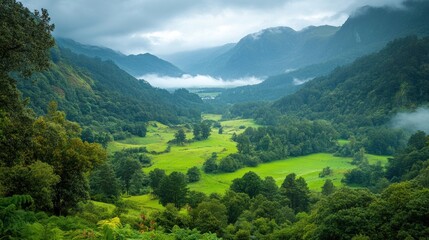 Fototapeta premium Majestic lush green valley with trees and colorful grass against high mountains in asturias in spain. beautiful view landscape with tree sky
