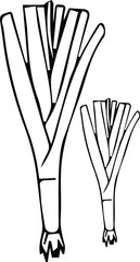 Leeks outline coloring book page and digital line art