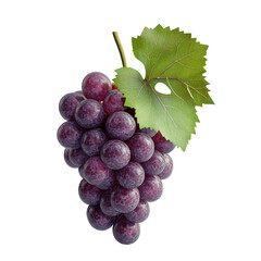 Fototapeta premium Luscious Red Grapes with Vibrant Green Leaf