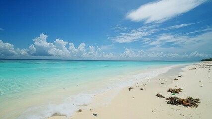 Fototapeta premium Plastic Pollution on Tropical Beach with Clear Blue Sky and Turquoise Water in Background