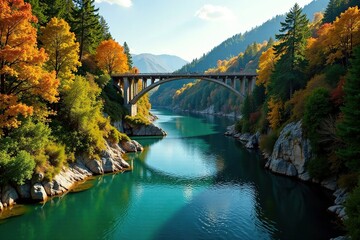 Fototapeta premium Trees and foliage on the riverbanks beneath a suspension bridge, trees, nature