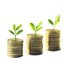 Growing Money: Investment Growth & Financial Prosperity