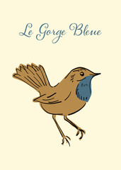 Illustration vecteur oiseau gorge bleue