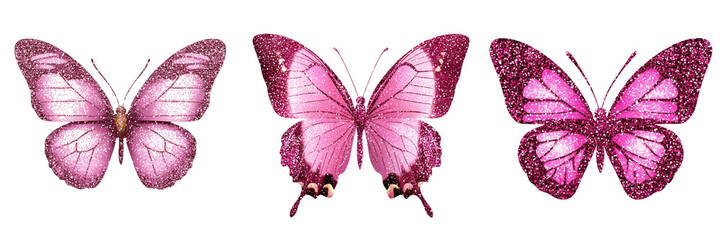 Obraz premium Set of A pink butterfly with white spots resting with wings fully open, sharp focus on the texture and veins of the wings on transparent png background