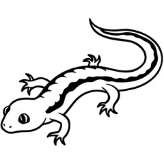 Gecko on white background