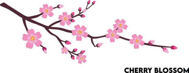 Fototapeta premium Realistic Cherry blossom branch. pink Sakura flower ,Cherry blossom with vector. Japanese Cherry Blossom vector. Brunch of Sakura with blooming pink watercolor flower. Pink watercolor cherry flower v