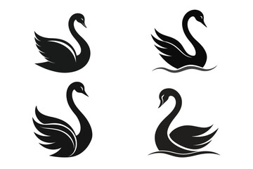 Fototapeta premium Swans Silhouette Isolated on White Background