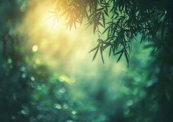 Fototapeta premium A serene bamboo forest showcases sunlight filtering through lush leaves, evoking tranquility and calmness