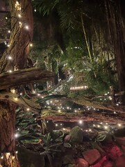 Lights in the nature