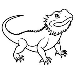 Bearded Dragon on white background