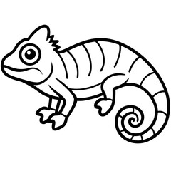 Chameleon on white background