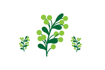 A collection of plants with green leaves and minimalist botanical design