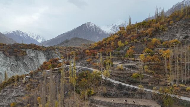 Vibrant aerial view of Hunza Valley, during autumn. Among the rocky mountains. Pakistan