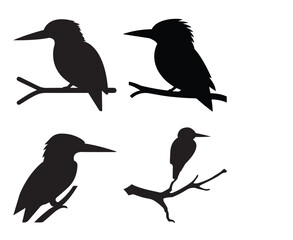 Kingfisher bird silhouettes vector illustration on white background, perfect for clipart