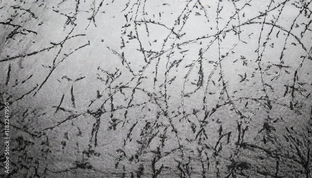 Poster abstract black tree branch patterns on textured silver fabric background for artistic, textile, or d