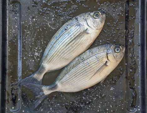 Fishes of sea bream and salt on black baking sheet. Flat lay