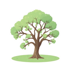 tree isolated on white