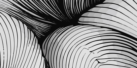 Beautiful black and white background design with flowing black and white lines. A wall background with a vibrant black and white color of the world, lovingly made of a group of lines. black and white