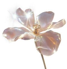 PNG Aesthetic flower petals accessories translucent.