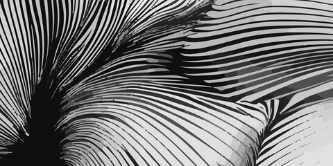 Beautiful black and white background design with flowing black and white lines. A wall background with a vibrant black and white color of the world, lovingly made of a group of lines. black and white