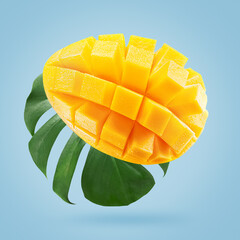 mango fruit with leaf on a light blue background.